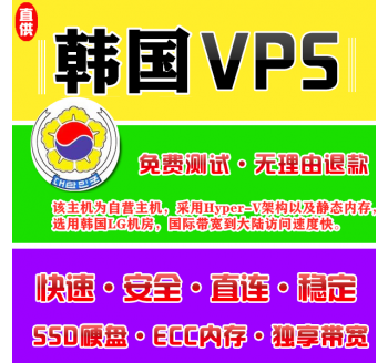 韩国VPS机房4096M国外，google translate 软件怎么用